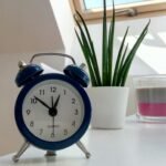 A que Hora Tomar L-teanina