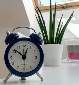 A que Hora Tomar L-teanina