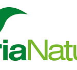 L Teanina Marca Soria Natural